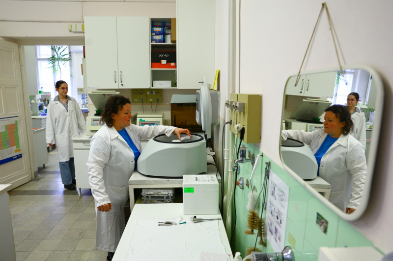 szte_prof_dr_kemeny_lajos_csoportja4 szte_prof_dr_kemeny_lajos_csoportja4